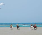 dakhla speed spot 2