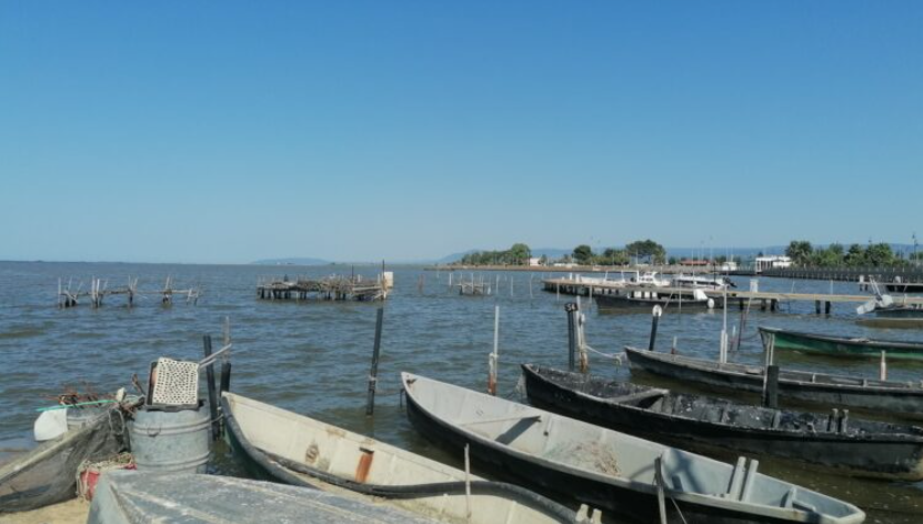 lesina lago
