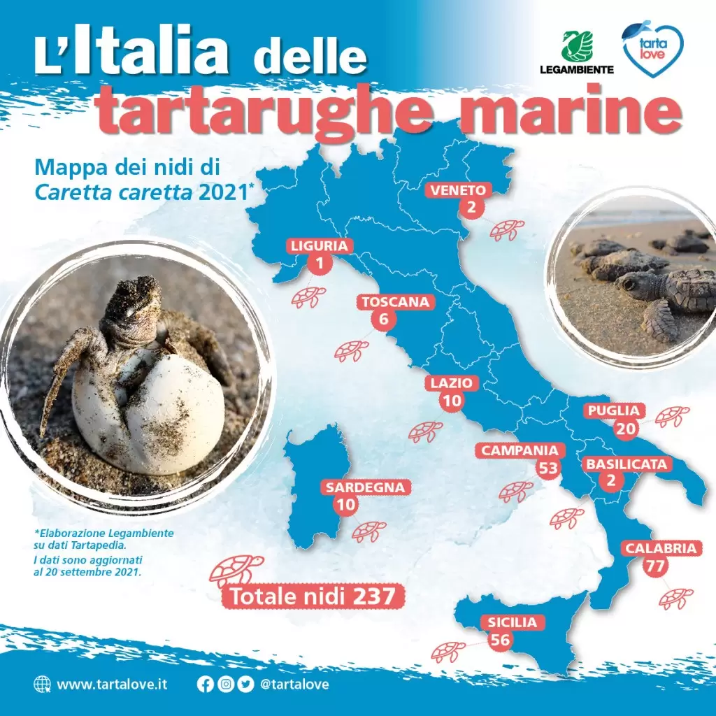italia tartarughe